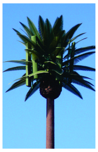 cell tower palm